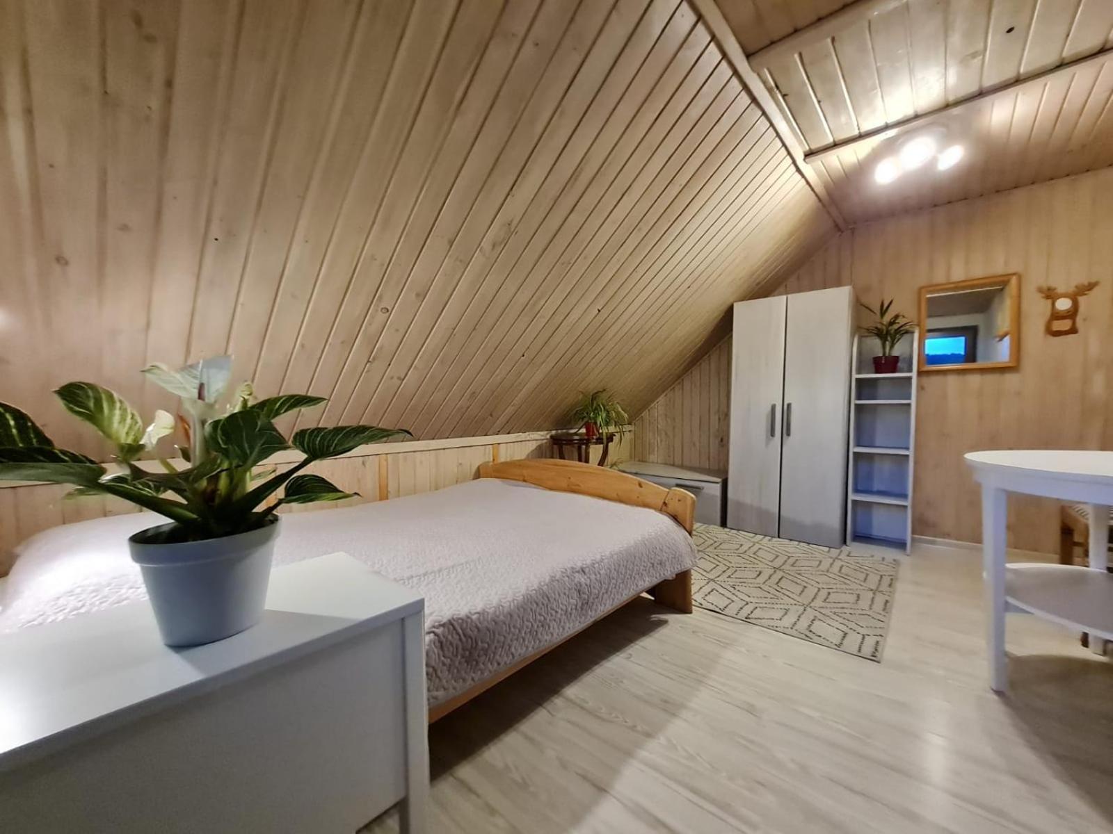 Koliba Nad Bialka Czarna Gora Bed & Breakfast Екстериор снимка