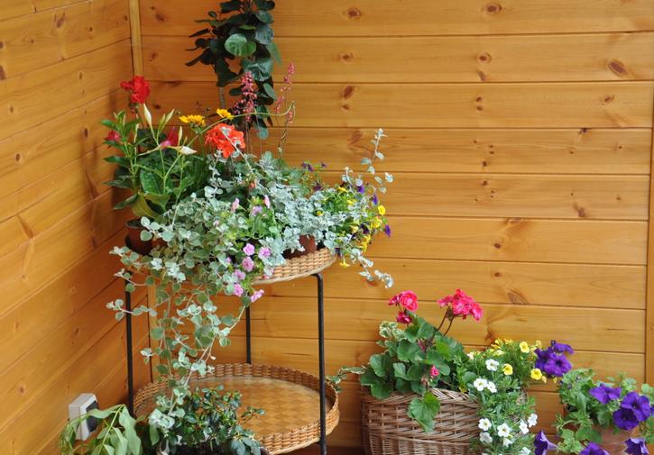 Koliba Nad Bialka Czarna Gora Bed & Breakfast Екстериор снимка